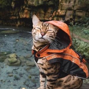 Meet your Posher, Margot